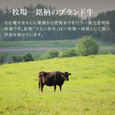 和牛 びえい和牛『肉チョコ』バラエティパック ファームズ千代田