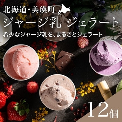 ジェラート アイス 12個BOX gelatrip's selection