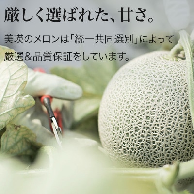 ≪令和7年産予約受付!≫美瑛選果　特選メロン2玉(約4kg) 