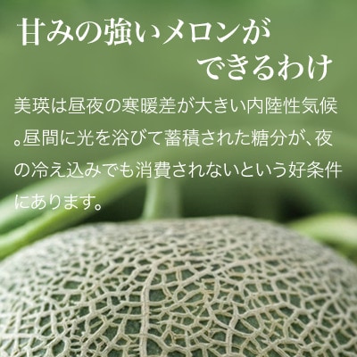 ≪令和7年産予約受付!≫美瑛選果　特選メロン2玉(約4kg) 