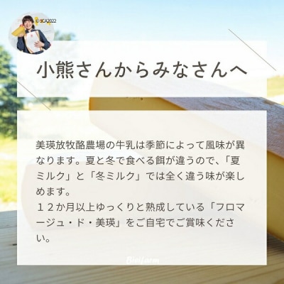  チーズ グランプリ受賞 100g×10個 美瑛放牧酪農場 フロマージュ・ド・美瑛