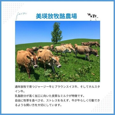 ラクレットチーズ クオーターサイズ(1.2kg) 美瑛放牧酪農場 ラクレット・ド・美瑛 