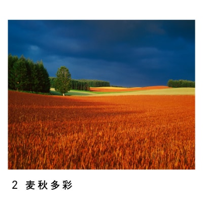 前田真三　額付き写真(黒額)　キャビネサイズ