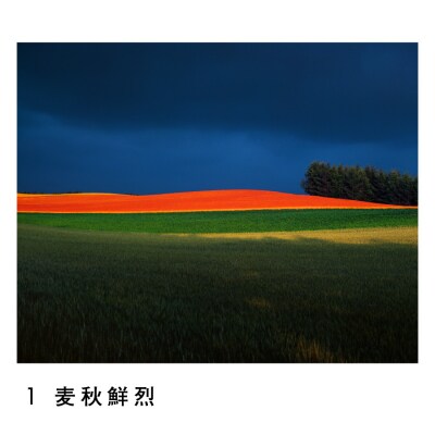 前田真三　額付き写真(黒額)　六つ切りサイズ