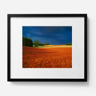 前田真三　額付き写真(黒額)　六つ切りサイズ