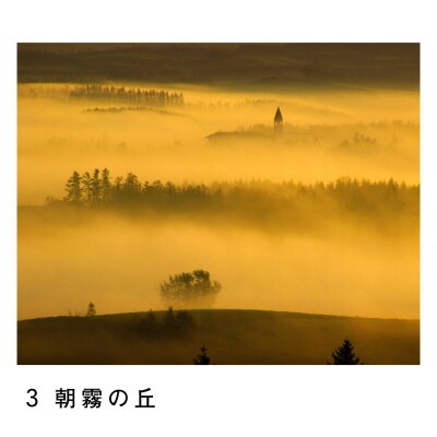 前田真三　額付き写真(黒額)　六つ切りサイズ