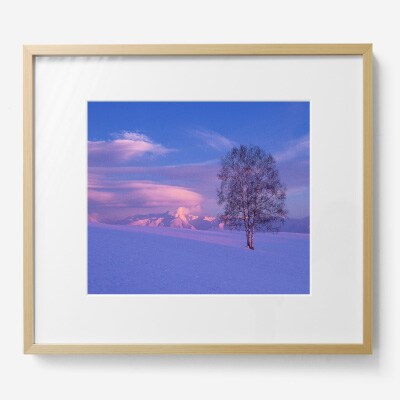 前田真三 額付き写真(白木額) 四切サイズ