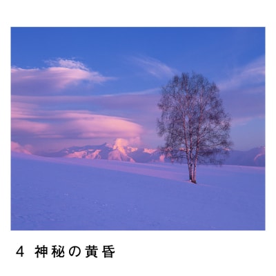 前田真三 額付き写真(白木額) 四切サイズ