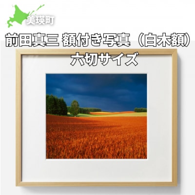 Oc^O ztʐ^(؊z) Z؃TCY