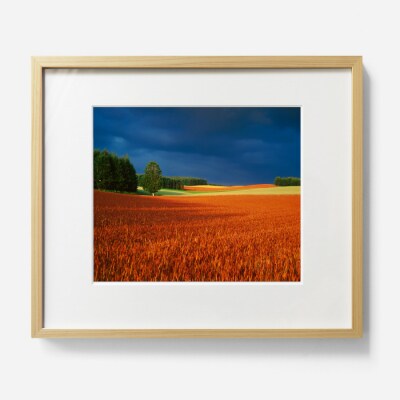 前田真三 額付き写真(白木額) 六切サイズ