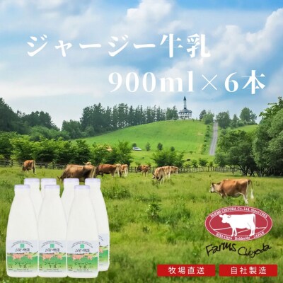 ジャージー牛乳 900ml×6本 ファームズ千代田