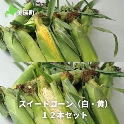 とうもろこし ≪令和7年産予約受付!≫サスケの家　スイートコーン(白・黄)12本セット 