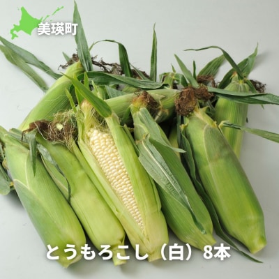 とうもろこし ≪令和7年産予約受付!≫サスケの家　スイートコーン(白)8本 