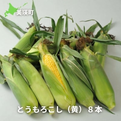 【令和9年産 先行予約】とうもろこし (黄色) 8本 スイートコーン サスケの家