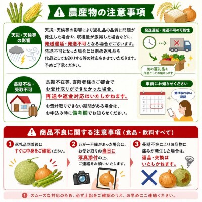 【令和9年産 先行予約】とうもろこし (黄色) 8本 スイートコーン サスケの家
