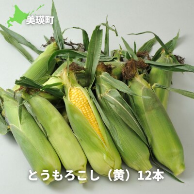 【先行予約】とうもろこし スイートコーン(黄)12本 <令和8年産 >サスケの家