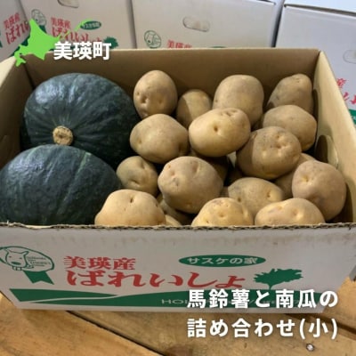 【令和9年産 先行予約】じゃがいも かぼちゃ 5kg 詰め合わせ セット 野菜セット サスケの家