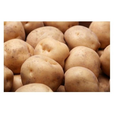 野菜詰め合せ≪令和7年産予約受付!≫サスケの家　馬鈴薯と南瓜の詰め合わせ
