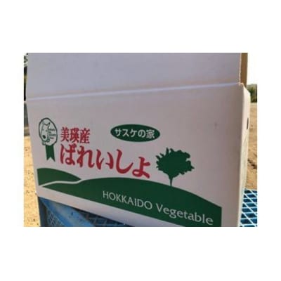 野菜 詰め合わせ ≪令和7年産予約受付!≫サスケの家　馬鈴薯と南瓜