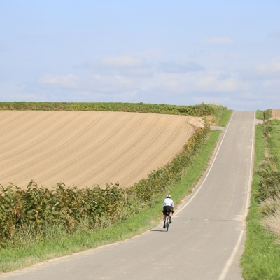 「丘のまちびえいファンライド」出走権【ショートコース 約23km】