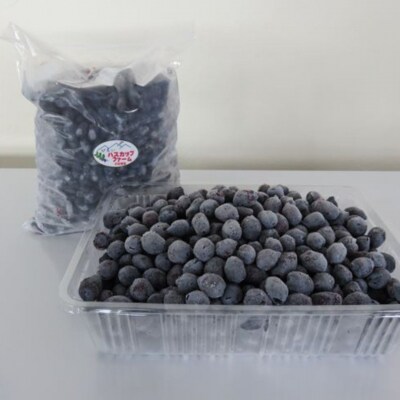 びえいハスカップファーム　美瑛産冷凍ハスカップ1kg
