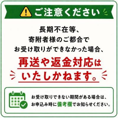 びえいハスカップファーム　美瑛産冷凍ハスカップ1kg