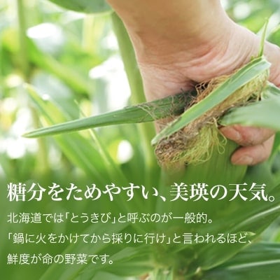 【先行受付】とうもろこし (白・黄)各6本セット スイートコーン<令和7年産 >美瑛選果