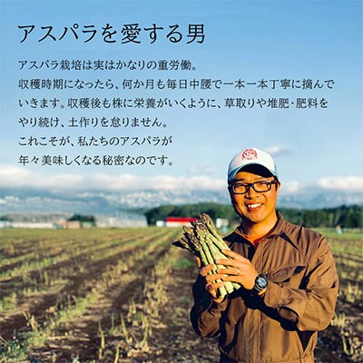 令和8年産! 幻のアスパラ【Mサイズ 2kg 3回便】グリーンアスパラ 北海道産 ラスノーブル