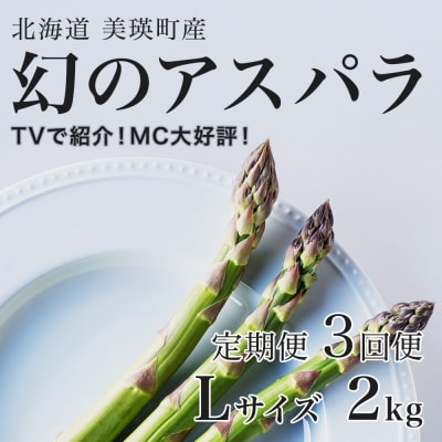 令和9年産先行予約 アスパラガス【Lサイズ 2kg 3回便】北海道産 ラスノーブル