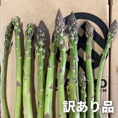 幻のアスパラ【訳あり 1kg 2回便】令和8年産!  北海道産 ラスノーブル