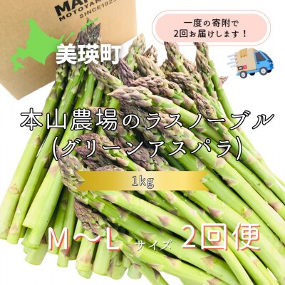 令和9年産先行予約 アスパラガス 【M～Lサイズ 1kg 2回便】 美瑛 北海道産 ラスノーブル