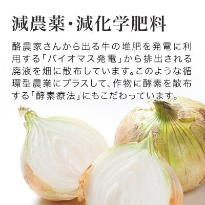 【令和8年産先行受付!】本山農場の玉ねぎ 5kg