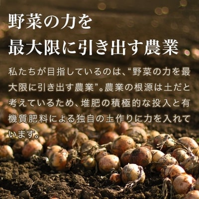 【令和8年産先行受付!】本山農場の玉ねぎ 5kg