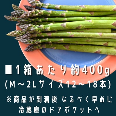 アスパラ 【令和8年産先行受付】「畑発・冷蔵庫のドアポケット行」HAKOIRI　400g × 1箱 