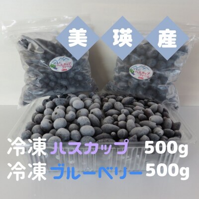 びえいハスカップファーム　美瑛産冷凍ハスカップ 500g・冷凍 ブルーベリー 500g