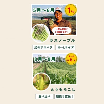 【令和8年産先行受付!】～美瑛の四季～ 野菜の定期便【浜茄子】5回便