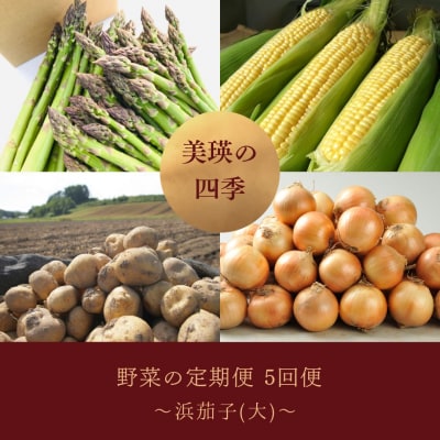 【令和8年産先行受付!】～美瑛の四季～ 野菜の定期便【浜茄子(大)】5回便