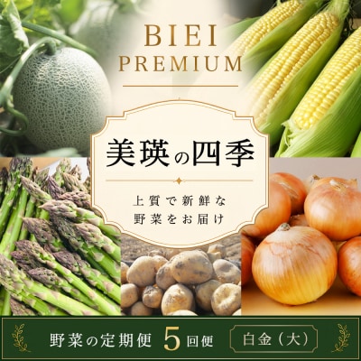 【令和9年産 先行予約】野菜 定期便 5回便 美瑛の四季～白金(大)～