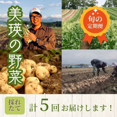 【令和8年産先行受付!】～美瑛の四季～ 野菜の定期便【浜茄子(大)】5回便