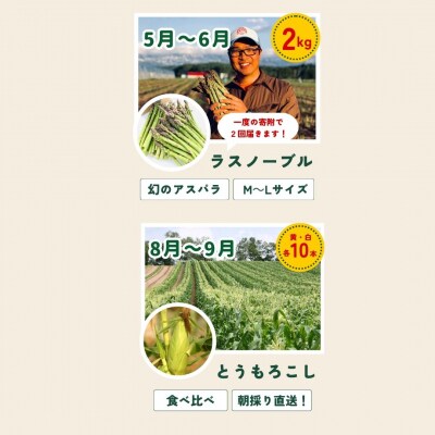 【令和8年産先行受付!】～美瑛の四季～ 野菜の定期便【浜茄子(大)】5回便