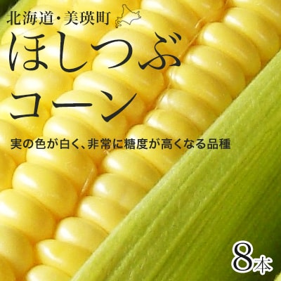 【令和8年産先行受付!】黒木農場　とうもろこし(ほしつぶコーン)8本 