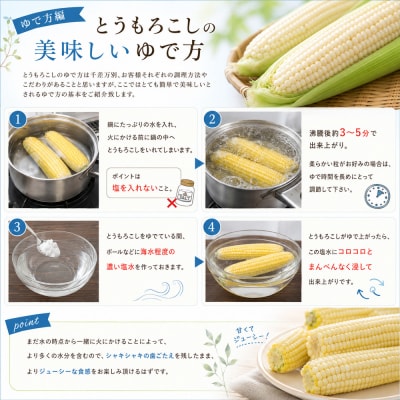 とうもろこし ほしつぶコーン 8本 【令和9年産先行受付】北海道 黒木農場
