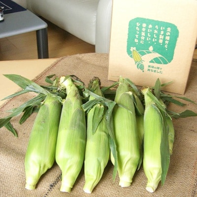 【令和8年産先行受付!】黒木農場　とうもろこし(ほしつぶコーン)8本 