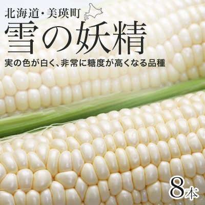 とうもろこし 雪の妖精 8本【令和8年産先行受付!】黒木農場 