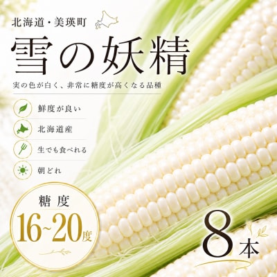とうもろこし 雪の妖精 8本【令和8年産先行受付】北海道