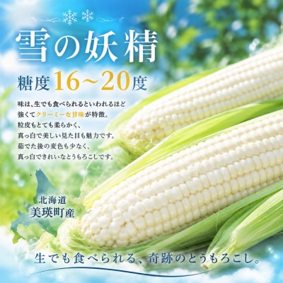 とうもろこし 雪の妖精 8本【令和9年産先行受付】北海道