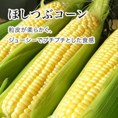 とうもろこし (ほしつぶコーン&雪の妖精) 各4本 計8本【令和8年産先行受付!】黒木農場