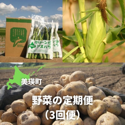 【令和8年産先行受付!】黒木農場　野菜の定期便3回便[029-15]