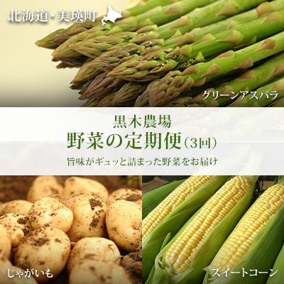 野菜 定期便 3回便【令和9年産先行受付】北海道 野菜 黒木農場