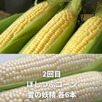 野菜 定期便 3回便【令和9年産先行受付】北海道 野菜 黒木農場